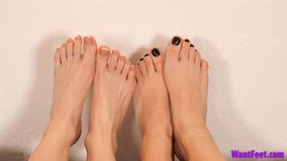 Irresistible Toe Action - Wiggling - HD MP4