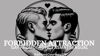 Forbidden Attraction: Gay Erotica