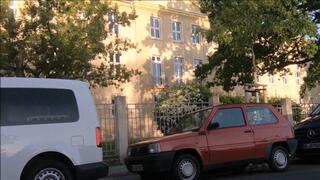 009 Panda Cranking (5 separate clips in one)