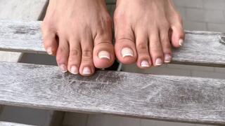 BIG WHITE BULL lick and worship Andrea Ramirez feet and cum on them