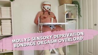 Molly Locked In High Chair, Sensory Deprivation Hood & Bound Orgasms With Overstimulation