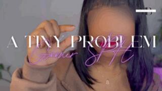 A Tiny Problem - SPH