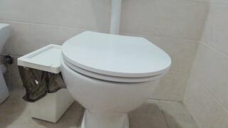 Urine collection for medical examination!