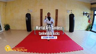 Martial Arts Goddess taekwondo kicks lesson volume 2