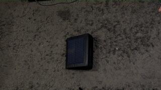 Dreaming of a carrot