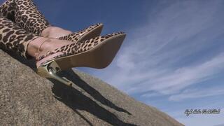 Shoeplay in Leopard Print High Heel Slingbacks Outdoors