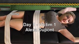 Collector 2 - Part 1 - Alexa Dupont