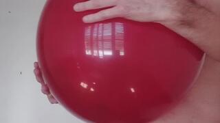 Erection & blow to pop