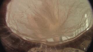 Tan Stockings, Heels & Nylon Soles (mkv)