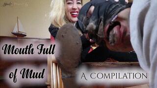 Mouth Full of Mud, A Compilation