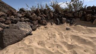 Wet & Wild: Naughty Beach Tease and Pee