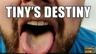 KingMarti: Tiny's Destiny - Surrender to Power: Embrace Your Weakness, Become Strength - 4k UHD