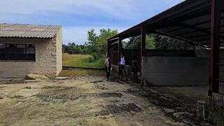 EUROTOUR 2025 Bullwhip Punishment in the Farm of Pain by Madame Catarina Milah and Lunatika FULL VERSION