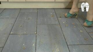 KIwi and Cake under sweet Mules