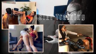 Slut Training Compiled