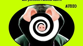 Bankrupt & Brainless: The Perfect Findom Slave Audio Minduck Duchess Lucy Ruins You