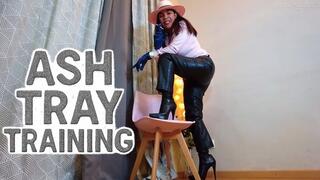 Astray training - Reinaleather uses you