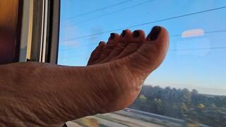 Milah Arches Arcos Viajeros 14 Tren AVE