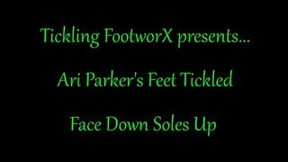 Ari Parkers Feet Tickled Face Down Soles Up