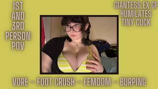 Giantess Ex Girlfriend Humiliates Tiny Cuck