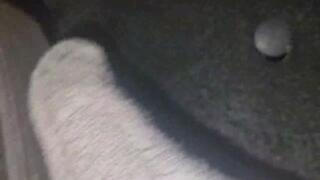 HARD REVVING IN NATURE IN WET SOCKS