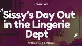 Sissy's Day Out in the Lingerie Department - Audio Only - LeighLake