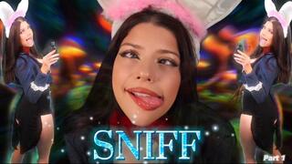 SNIFF part 1
