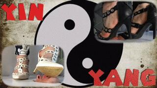 CC - Initiation to YIN and YANG