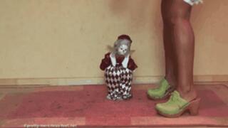 Harlequin under hard wooden Clogs