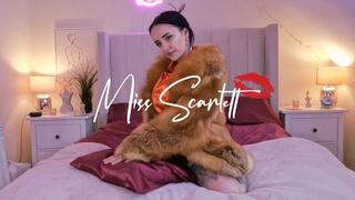 Scarlett's red fox fur coat and satin blouse pillow fuck