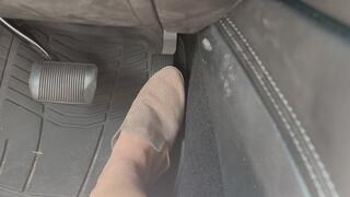 Mules and Barefoot Drive