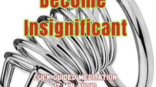 Become Insignificant: A Cuck Meditation