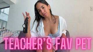 TEACHER'S FAV PET Femdom Pet Play Slave Tasks