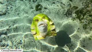 Carissa finds a mask in the spring and mysteriously turns into The Creature!