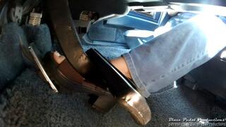 992-Poppy Mind Over Matter