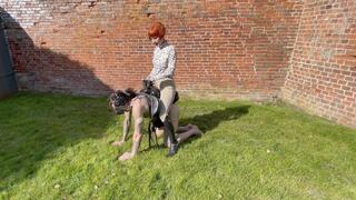 Perfecting the Ponyboy