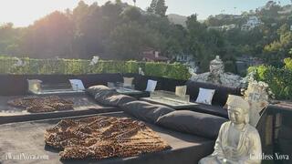 Welcome to the Jungle