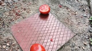 Trampling fruits with golden heels (3)