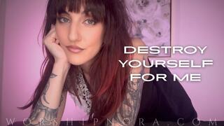 Destroy Yourself For Me