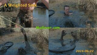 A Weighted Sink, 2024-06-22