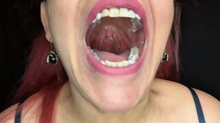Mouth Uvula Tour 61125