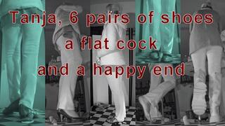 Trampled flat and squeezed out unknowingly by Tanja under 6 pairs of shoes - VD 12