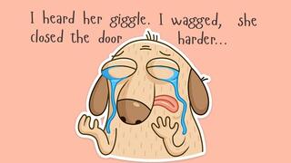 Sniffing me from far, without your leash - Your whine doesn't work