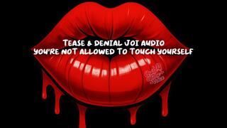 TEASE & DENIAL JOI AUDIO YOU'RE NOT ALLOWED TO TOUCH YOURSELF