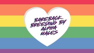 ** Bareback BREEDING by hot Alpha males **