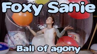1639 Foxy Sanie Ball of agony balloons