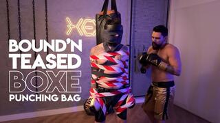 Hex ties Tonny at the punching bag (1080p) Bondage Male - Gay Boxe - Gay Belly Punching - Gay Gut Punch - Gay Bondage