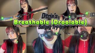 Ditria's Breathable (Droolable) Ballgag Try-on 4k | Ditria Rose shows off her newest ballgag and goes to try it on at the entertainment of her fans - will she like it?