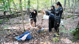 Buried in the forest