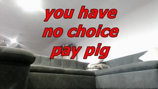 you have no choice pay pig (WMV)